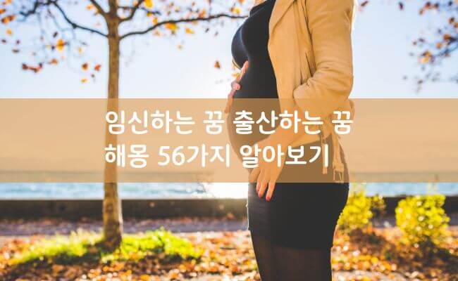 임신 하는 꿈 해몽 쌍둥이 산부인과 출산 하는 꿈 풀이 - 꿈의탑텐 임신 하는 꿈 해몽 쌍둥이 산부인과 출산 하는 꿈 풀이 - 꿈의탑텐