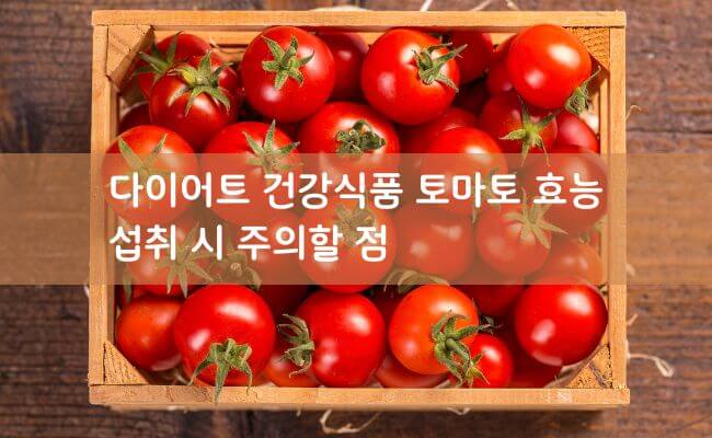 다이어트 건강식품 토마토 효능과 주의할 점