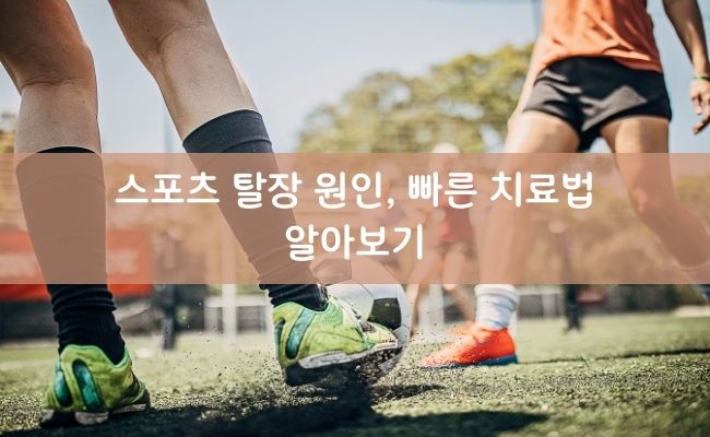Read more about the article 스포츠 탈장 원인, 증상, 빠른 치료법